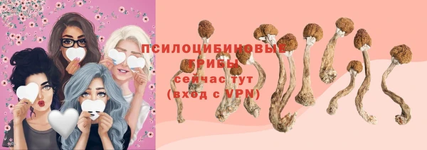 ALPHA-PVP Майский