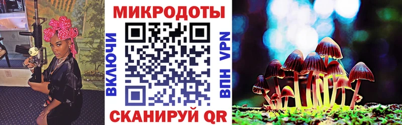 Псилоцибиновые грибы Psilocybe Чита